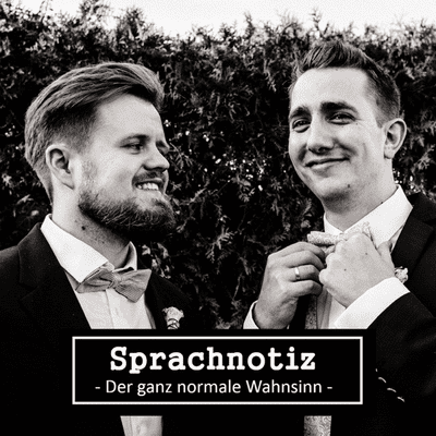 Sprachnotiz - Der ganz normale Wahnsinn