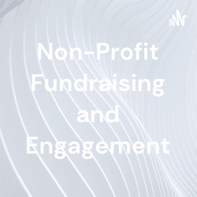Non-Profit Fundraising and Engagement