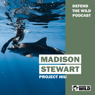 episode Defend the Wild Podcast - Episode 8 - Madison Stewart from Project Hiu artwork
