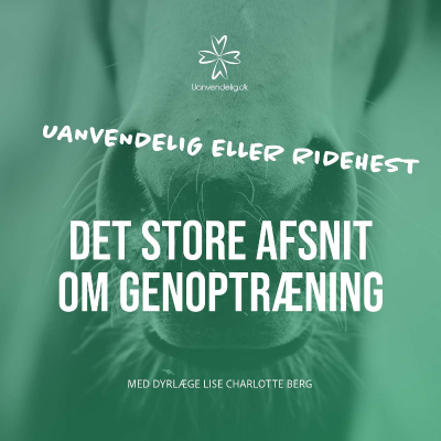 episode Den gode genoptræning - Med dyrlæge Lise Charlotte Berg artwork