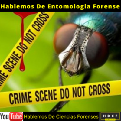 episode Hablemos de Entomología Forense #19 artwork