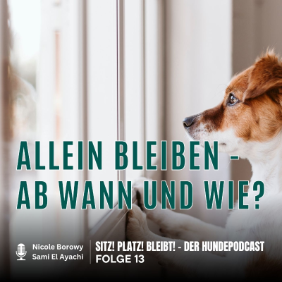 episode #13 Alleinbleiben – ab wann und wie? artwork
