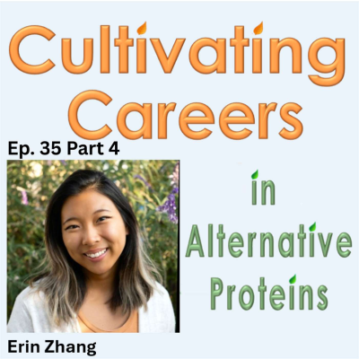 episode Ep. 35.4 - What Are Past Guests Up To Now? (Final Episode): Part 4 - Erin Zhang artwork