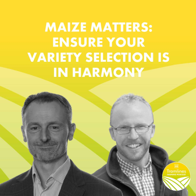 episode Maize Matters: Ensure your variety selection is in Harmony artwork
