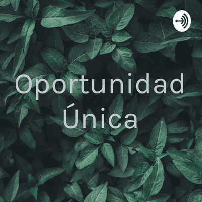 Oportunidad Única
