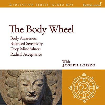 episode The Body Wheel Audiobook by Joseph Loizzo artwork