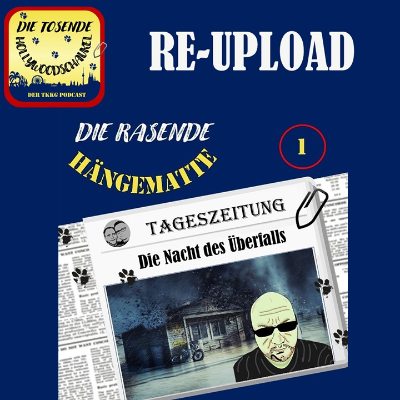 episode [Re-Upload] TKKG - Die Nacht des Überfalls (35) artwork