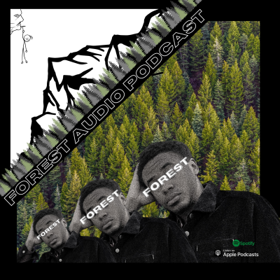 Forest Audio