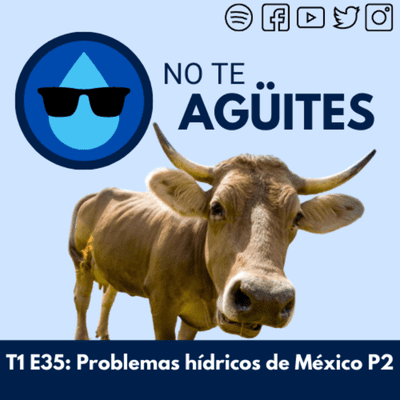 episode Problemas hídricos de México P2 (Con Mario Lugo) artwork