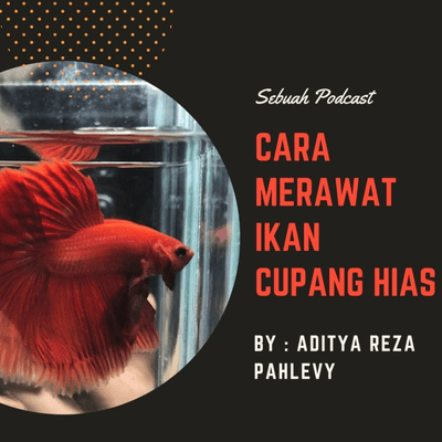 episode Tips & Trik Merawat Ikan Cupang Hias by Aditya Reza Pahlevy artwork