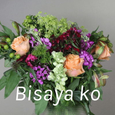 Bisaya ko