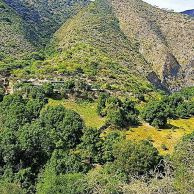 episode RESERVA DE LA BIOSFERA DE LA SIERRA GORDA DE GUANAJUATO artwork