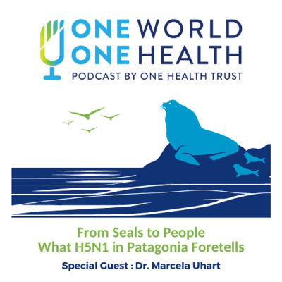episode From Seals to People – What H5N1 in Patagonia Foretells artwork