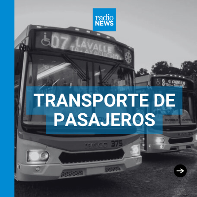 episode Transpotr público de pasajeros en Posadas artwork