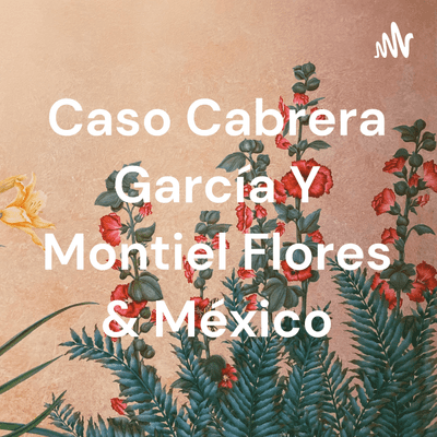 Caso Cabrera García Y Montiel Flores & México