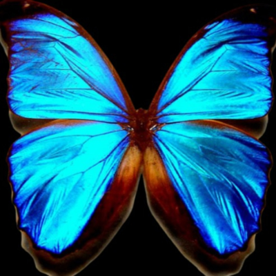 Cover image of show What if The World Stopped Complaining about Mondays? The One Week Guide to Self Sufficiency