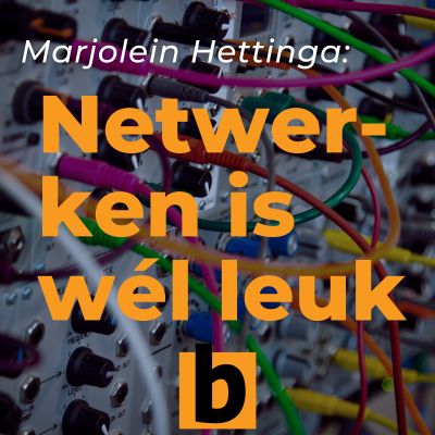 episode Marjolein Hettinga over netwerken artwork