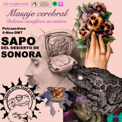 episode SAPO DEL DESIERTO DE SONORA - Psicoactivos 5-Meo-DMT artwork