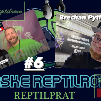 episode REPTILPRAT #6 Med Brechan Python´s artwork