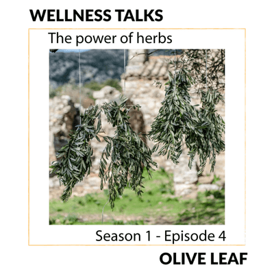 episode The power of herbs - OLIVE LEAF artwork