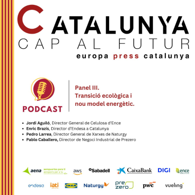 episode Catalunya cap al futur - Transició ecològica i el nou model energètic artwork