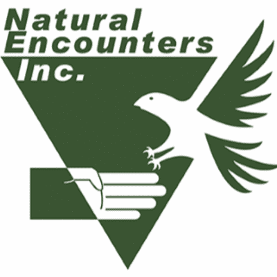 episode Steve Martin President Natural Encounters part three artwork