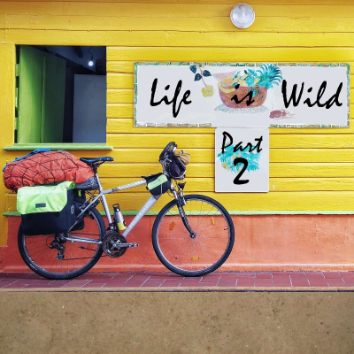 episode ABT019. Life is Wild (Part 2) artwork