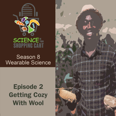 episode Season 8: Wearable Science | Episode 2: Getting Cozy with Wool artwork