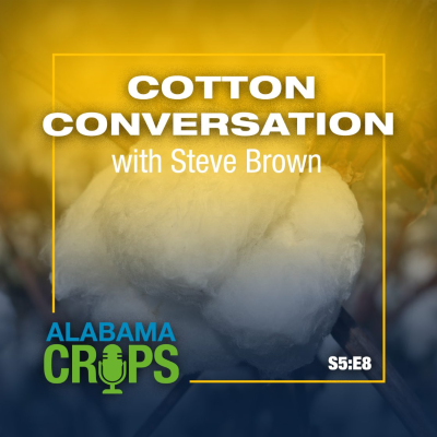 episode Season 5 Episode 8 — Cotton Conversation with Steve Brown artwork