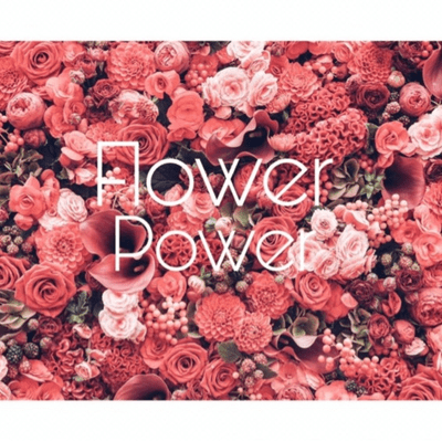 episode Flower Power artwork