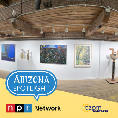 episode The Steinfeld Gallery and Studios presents "A Gorgeous Excitement" artwork