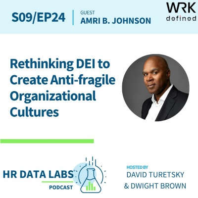 episode Amri B. Johnson - Rethinking DEI to Create Anti-fragile Organizational Cultures artwork