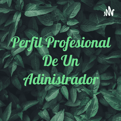 Perfil Profesional De Un Administrador