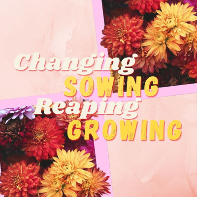 episode Changing, Sowing, Reaping, Growing artwork