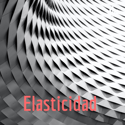 Elasticidad