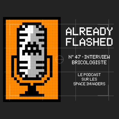 episode Épisode 47 - Interview Bricologiste artwork