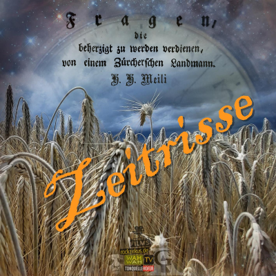 episode Hans Heinrich Meili: Fragen artwork