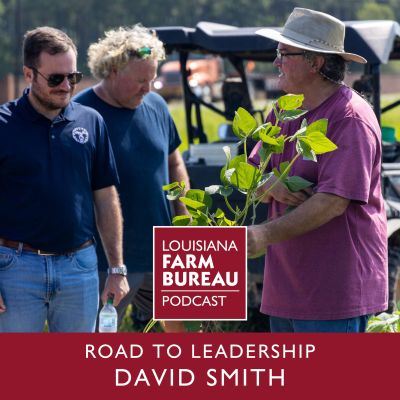 episode Road To Leadership: David Smith artwork