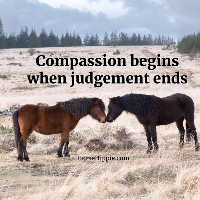 episode Compassion over Judgment artwork