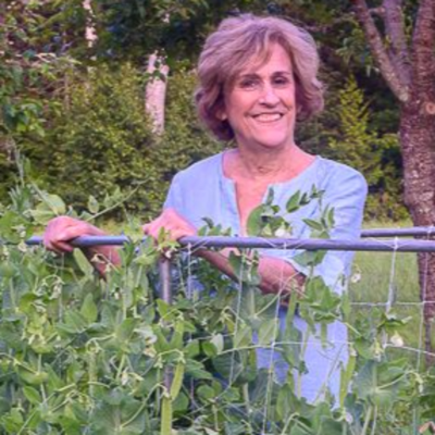 episode A Lifetime of Gardening with Barbara Damrosch artwork