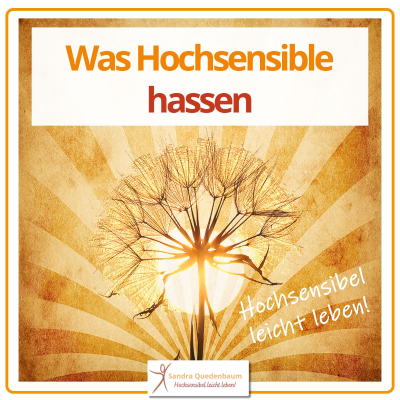 episode 🦋 Was Hochsensible hassen artwork