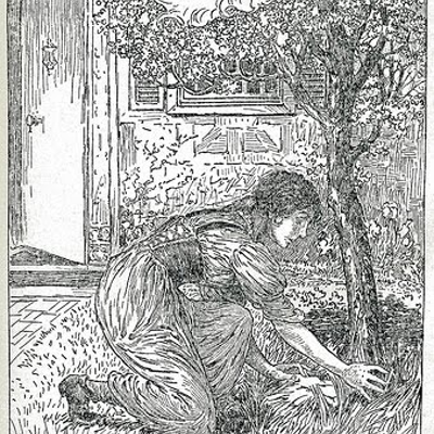 episode The Juniper Tree artwork