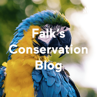 Falk's Conservation Opinion Blog