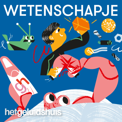 episode #6.3 - Als ik in Miami een zwemvlies kwijtspeel, waar komt die dan uit? artwork