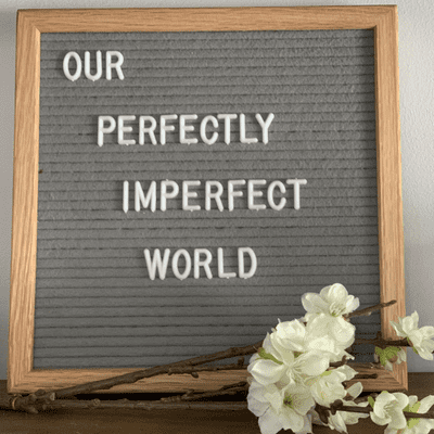 Our Perfectly Imperfect World