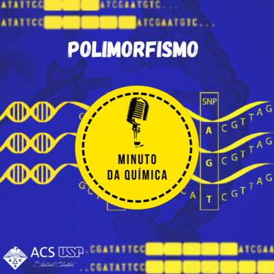 episode POLIMORFISMO artwork