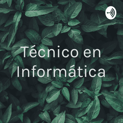 Técnico en Informática