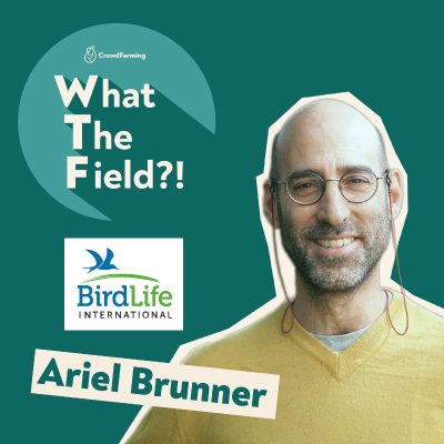 episode Birds, Biodiversity, and Broken Food Systems - a chat with Ariel Brunner artwork