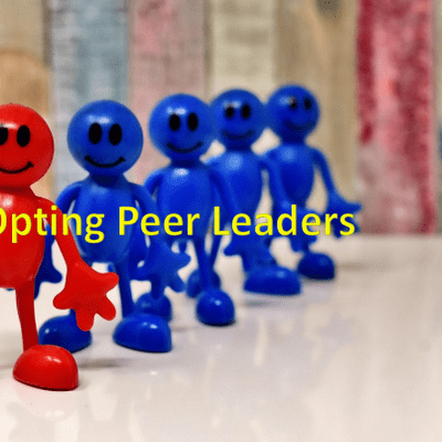 episode Co-Opt Peer Leadership artwork