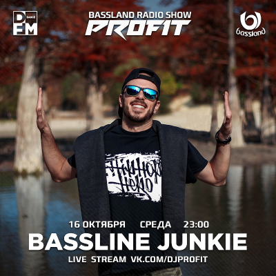 episode Bassland Show @ DFM (16.10.2024) - Guest mix Bassline Junkie artwork